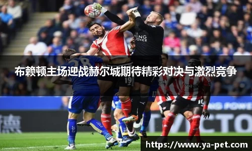 布赖顿主场迎战赫尔城期待精彩对决与激烈竞争